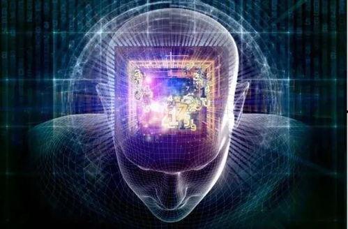 医生爆料脑芯片视频大全,医生爆料震撼视频大全解析  第1张