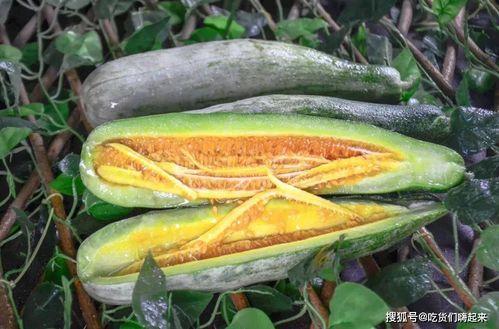 甘肃籍网红吃瓜,揭秘瓜界风云,品味家乡味道 第1张 甘肃籍网红吃瓜,揭秘瓜界风云,品味家乡味道 第1张